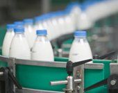 Gestão da Qualidade na Indústria Alimentícia